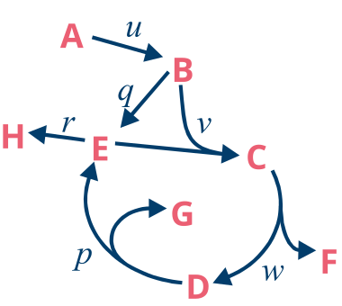 Spiralus network image